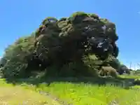 飯綱神社(千葉県)