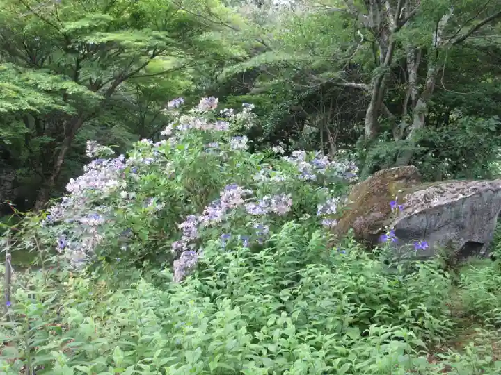 青龍山 吉祥寺(群馬県)