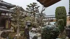 大松禅寺の庭園