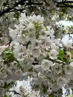 池上本門寺(東京都)