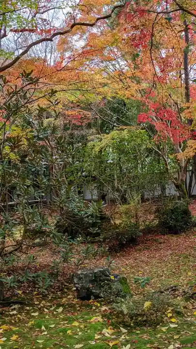 蓮華寺(洛北蓮華寺)(京都府)