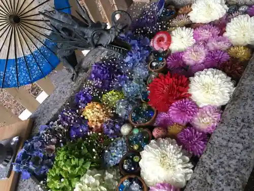 札幌諏訪神社の手水舎