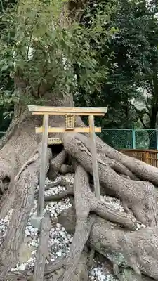 和泉國一之宮　大鳥大社(大阪府)