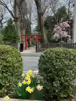 柞祖霊社の鳥居
