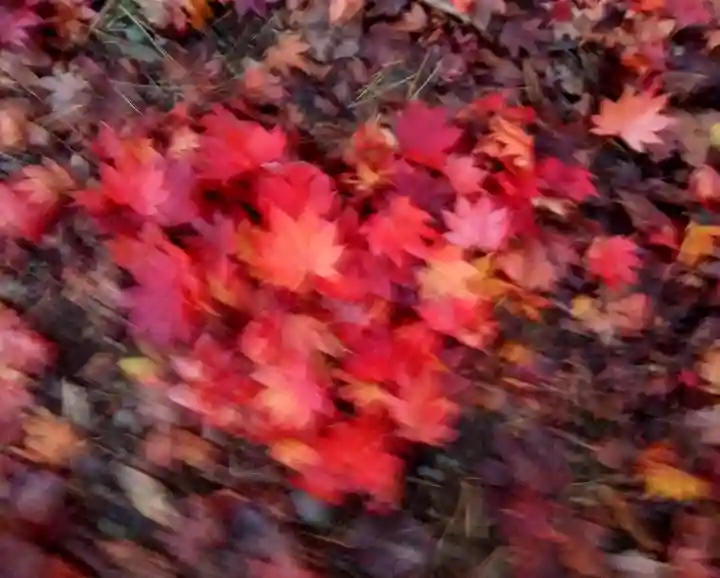 北広島市総鎮守 廣島神社(北海道)
