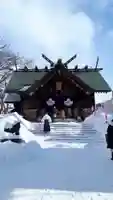 札幌諏訪神社の本殿・本堂