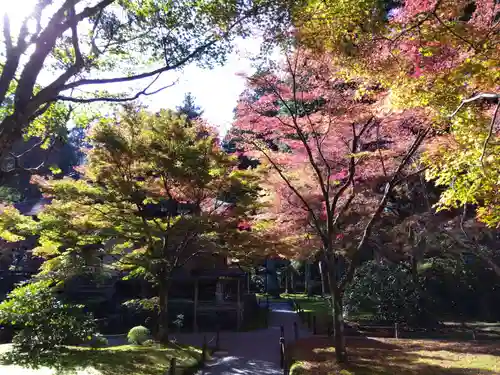 三千院門跡(京都府)