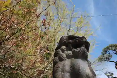 太平山三吉神社総本宮の狛犬