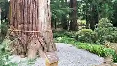 河口浅間神社(山梨県)