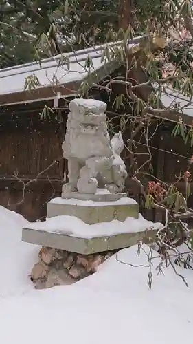 琴似神社の狛犬