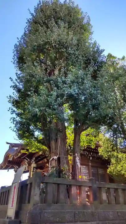 大鳥神社の自然