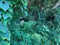 鳳凰大神(千葉県)