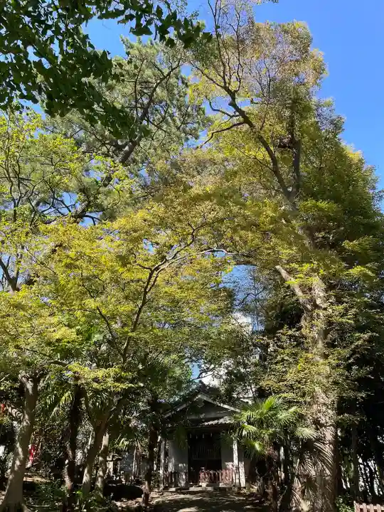 亀岡八幡宮(亀岡八幡神社)(神奈川県)