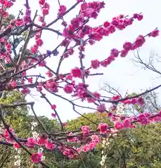 深大寺(東京都)