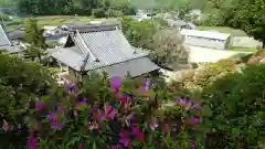 朝日寺の景色