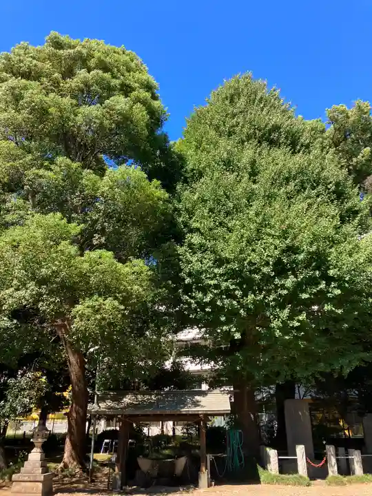 前原御嶽神社(千葉県)