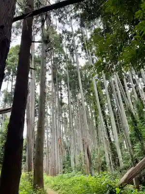 日吉神社(千葉県)
