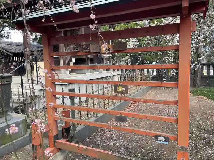 川口神社(埼玉県)