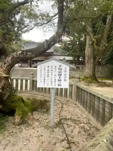 大山祇神社の{uncategorized: "未分類", other: "その他", undefined: "問題あり", building: "その他建物", grave: "お墓", sacred_gate: "鳥居", guardian: "狛犬", statue: "像", buddha: "仏像", history: "歴史", nature: "自然", garden: "庭園", animal: "動物", pagoda: "塔", temizu: "手水舎", mountain_gate: "山門・神門", sanctuary: "本殿・本堂", subordinate: "末社・摂社", art: "芸術", scenery: "景色", jizo: "地蔵", ema: "絵馬", goshuin: "御朱印", omikuji: "おみくじ", items: "授与品その他", amulet: "お守り", goshuincho: "御朱印帳", eats: "食事", festival: "お祭り", votive_dance: "神楽", shichigosan: "七五三参", wedding: "結婚式", experience: "体験その他", initially: "初詣", around: "周辺", anti_infection: "感染症対策"}