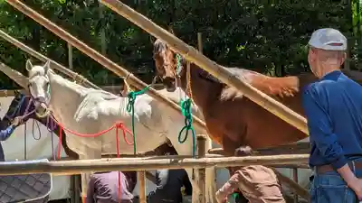 藤森神社(京都府)