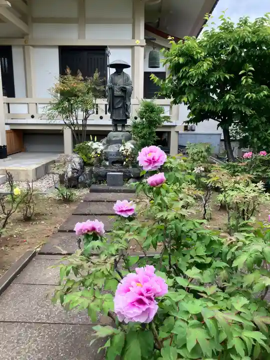 円光院(東京都)