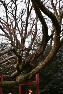 八大龍王水神(宮崎県)