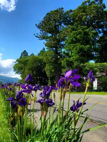 高司神社〜むすびの神の鎮まる社〜の自然