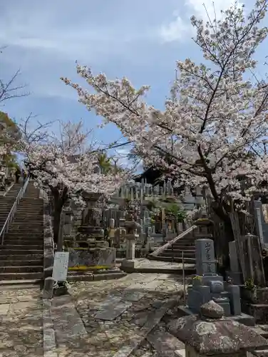 くろ谷 金戒光明寺の自然