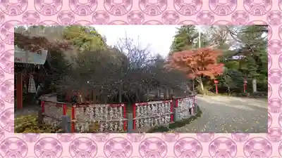 冠稲荷神社(群馬県)