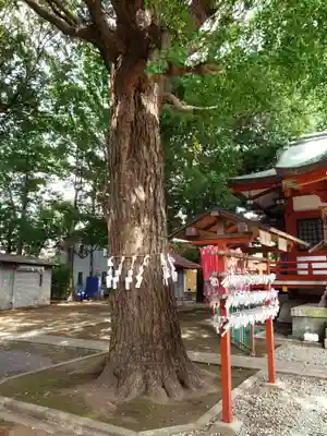 永福稲荷神社の自然