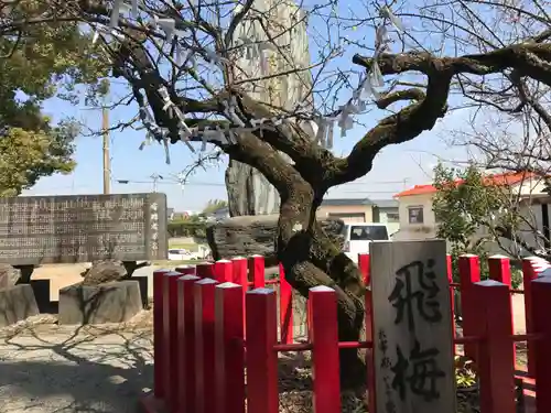 駛馬天満宮(福岡県)