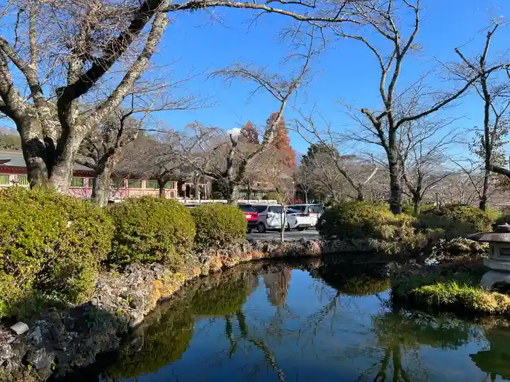 富士山本宮浅間大社(静岡県)
