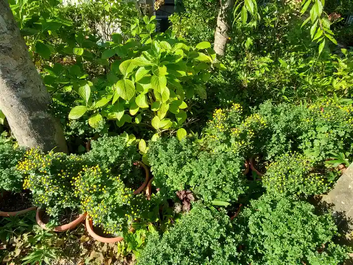 豊景神社の自然