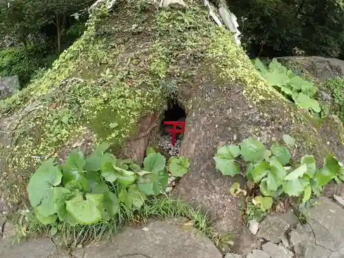 立磐神社の鳥居