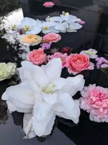 法輪寺(東京都)