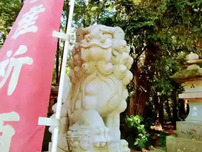 胎安神社の狛犬