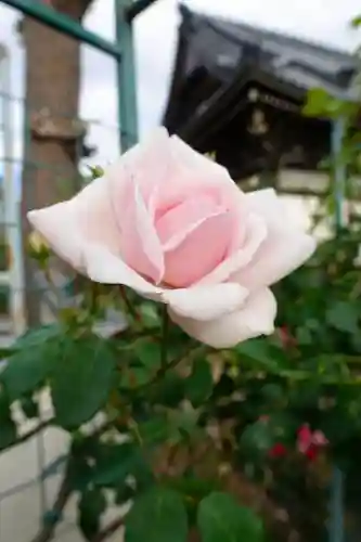 おふさ観音（観音寺）の庭園