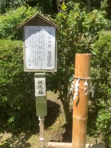 牟禮山観音禅寺の建物その他