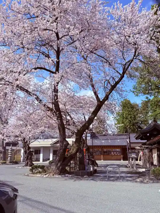 諏訪神社の{uncategorized: "未分類", other: "その他", undefined: "問題あり", building: "その他建物", grave: "お墓", sacred_gate: "鳥居", guardian: "狛犬", statue: "像", buddha: "仏像", history: "歴史", nature: "自然", garden: "庭園", animal: "動物", pagoda: "塔", temizu: "手水舎", mountain_gate: "山門・神門", sanctuary: "本殿・本堂", subordinate: "末社・摂社", art: "芸術", scenery: "景色", jizo: "地蔵", ema: "絵馬", goshuin: "御朱印", omikuji: "おみくじ", items: "授与品その他", amulet: "お守り", goshuincho: "御朱印帳", eats: "食事", festival: "お祭り", votive_dance: "神楽", shichigosan: "七五三参", wedding: "結婚式", experience: "体験その他", initially: "初詣", around: "周辺", anti_infection: "感染症対策"}