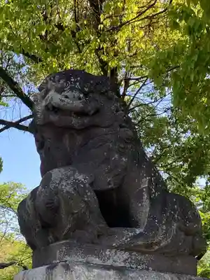 富士山本宮浅間大社(静岡県)