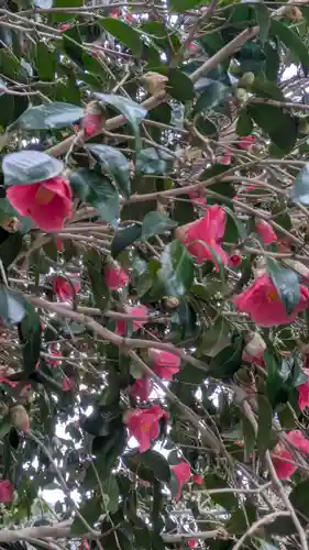 村雲御所瑞龍寺門跡(滋賀県)