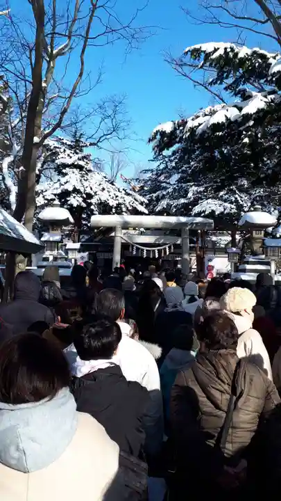 新琴似神社の初詣