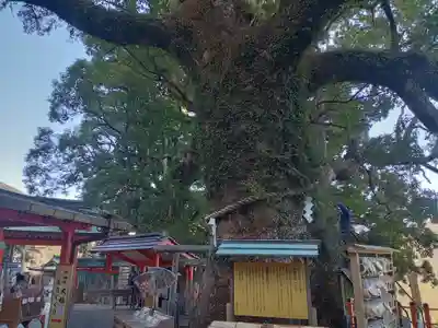 熊野那智大社(和歌山県)