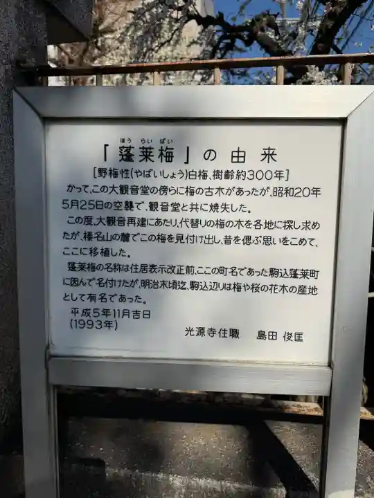 光源寺(東京都)