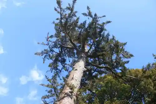 滑川神社 - 仕事と子どもの守り神の自然