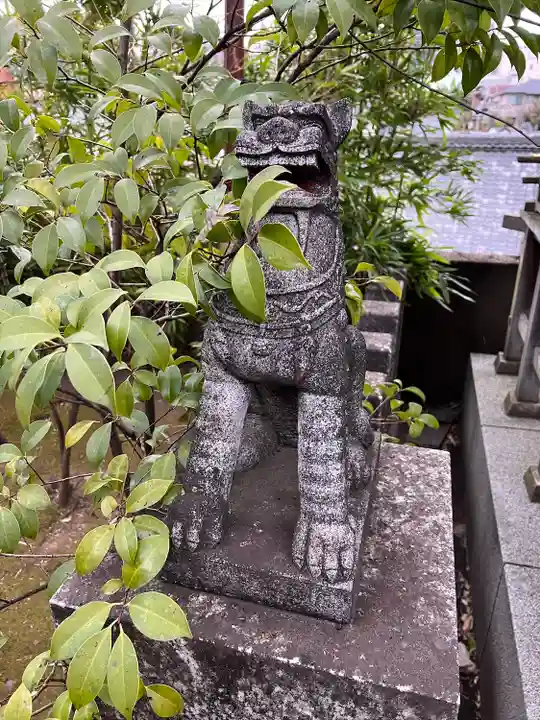 須賀神社の狛犬