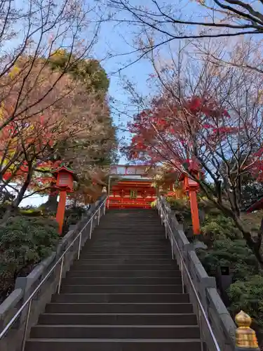 穴八幡宮(東京都)