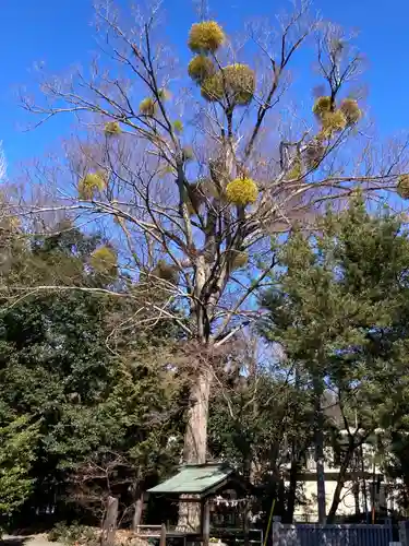 宗我神社(神奈川県)