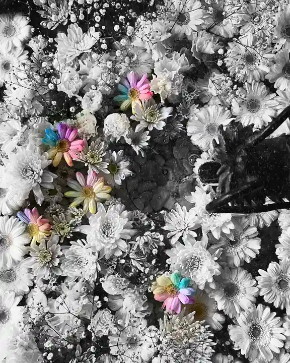 札幌諏訪神社の手水舎