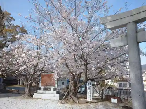 風治八幡宮の自然